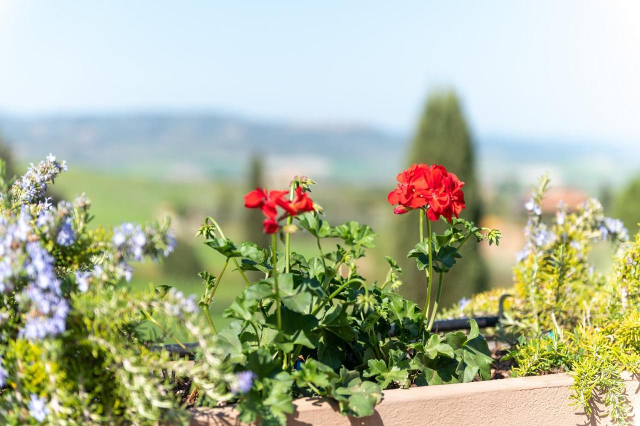 San Quirico dʼOrcia Hotel Palazzuolo מראה חיצוני תמונה