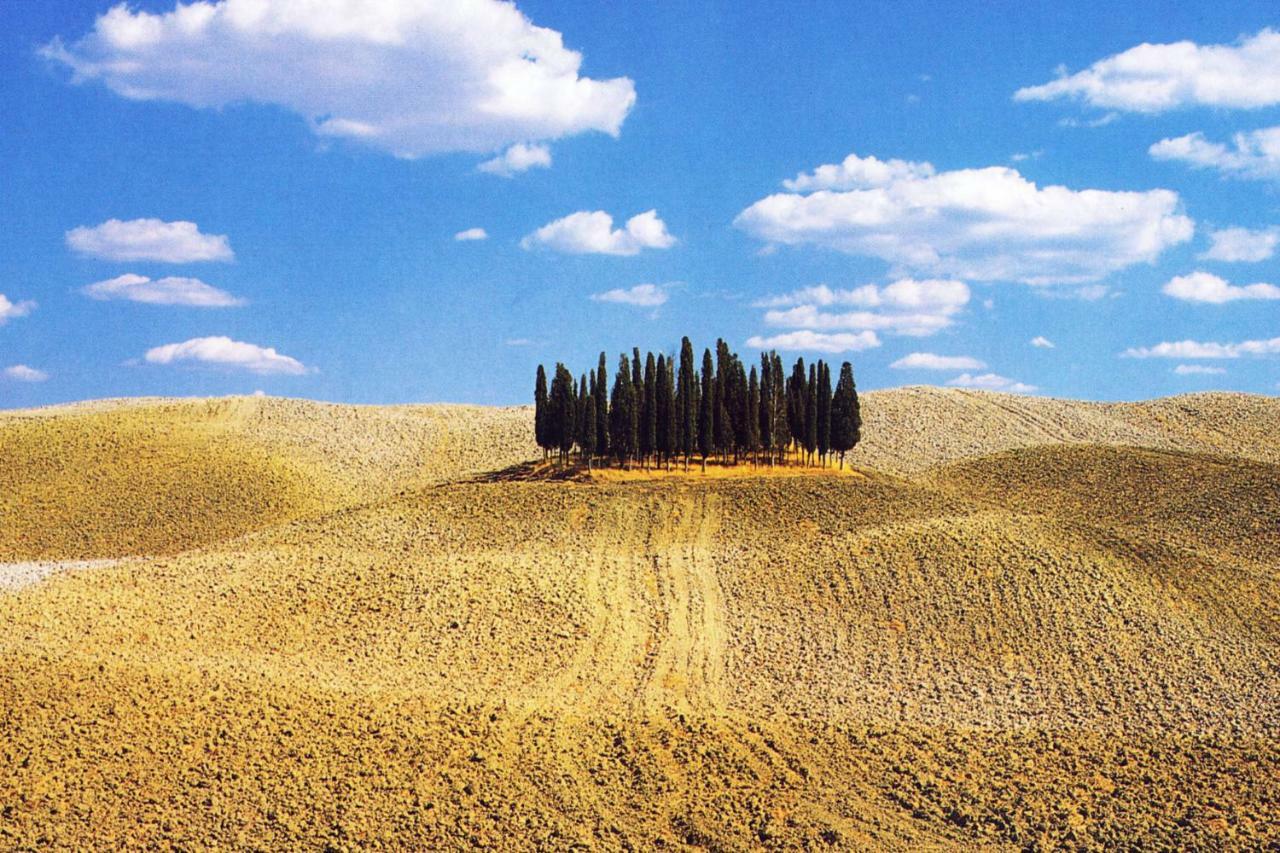 San Quirico dʼOrcia Hotel Palazzuolo מראה חיצוני תמונה